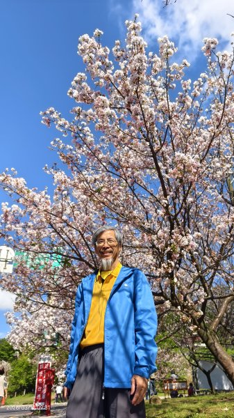 #中山樓 #陽明公園 #十八份 #墨染櫻 #吉野櫻 #唐棉 #小實女貞 #大紅蛺蝶 #夕陽 3/13017032