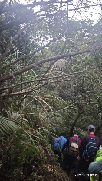 2025-1221 情人湖-石山-老鷹岩-大武崙砲台-外木山國旗嶺-濱海步道-海興步道-情人湖2966843