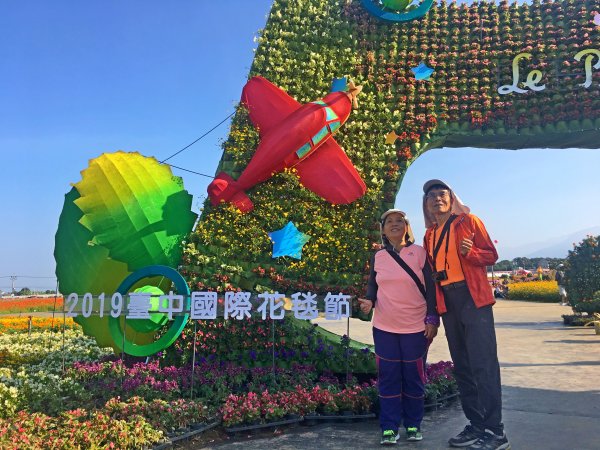 2019新社花海2019/11/12734649