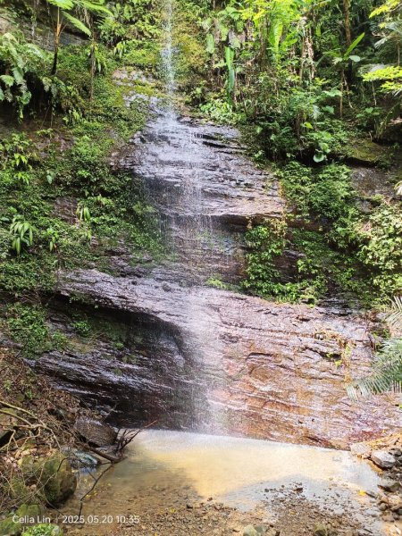 雙溪蝙蝠山-苕谷瀑布-麻竹坑山-梅竹蹊山2793951
