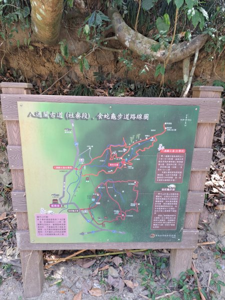 竹山八通關古道社寮段+陳東坑山+溪洲大山ｄ型走202302192037413