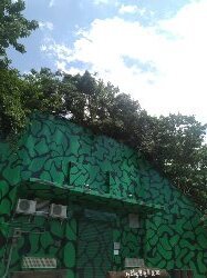 霄裡好風光,運動樂悠遊-大湳森林公園2814966