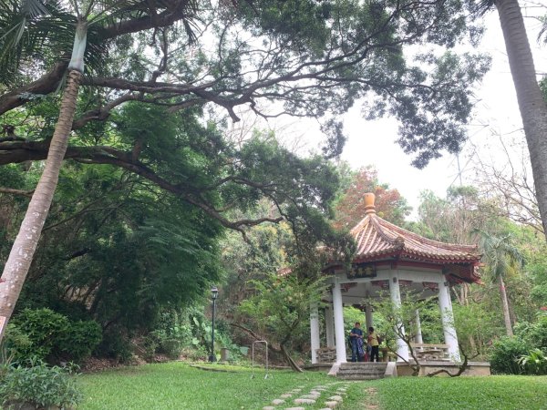 阿罩霧山、中心瓏步道2768912