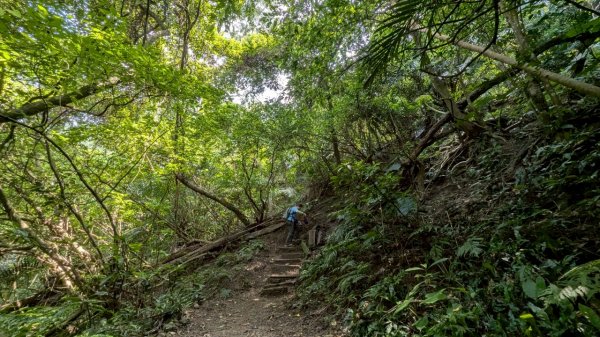 114.08.09溪洲山-新溪洲山之旅2856786