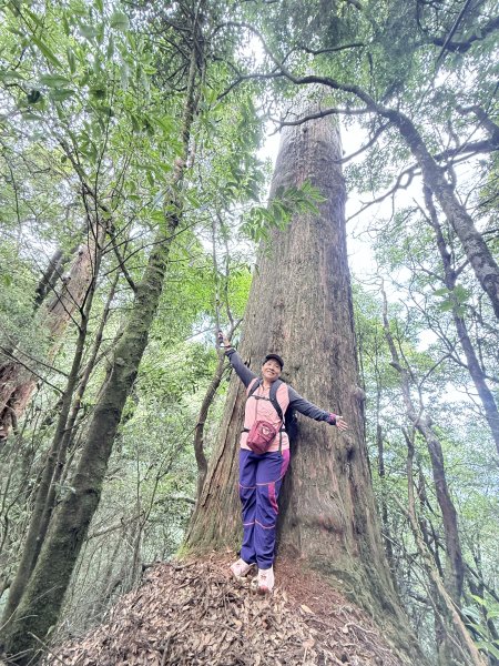 船型山神木悠遊    2025.09.222893823