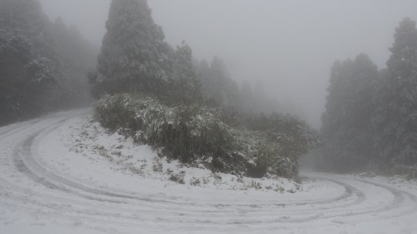 台北後花園下雪了 ！1232094