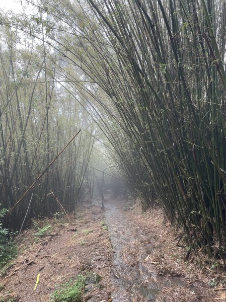 台北大縱走第一段2738413