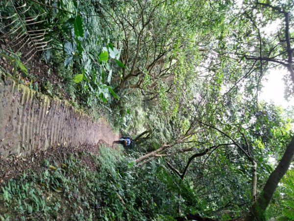 土城天上山健走1082161