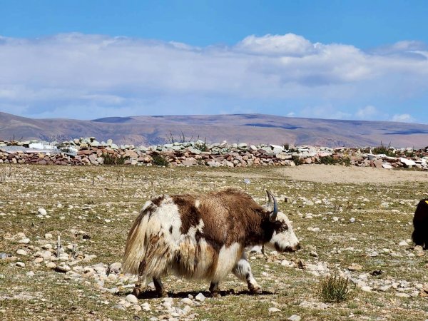 西藏的高山聖湖💙一措再措2907495