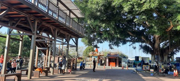 《台中》短暫暖陽｜龍井竹坑南寮步道O繞202601042976441