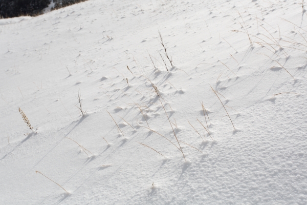 1050115-17 雪主東雪地訓練28457