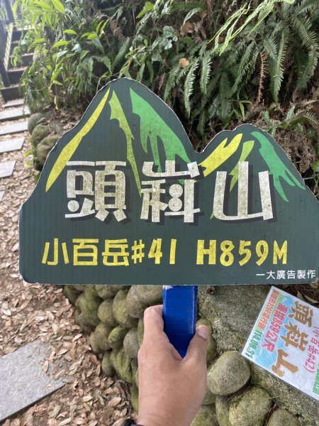 頭科山(大坑4號步道)3081117