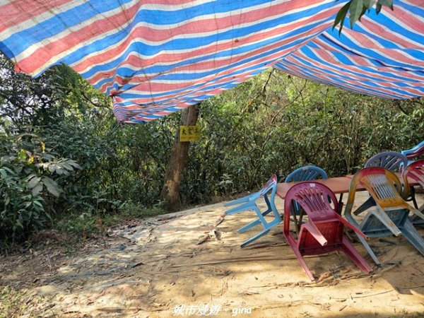 【屏東來義】小百岳棚集山x棚集下山O 繞3013080