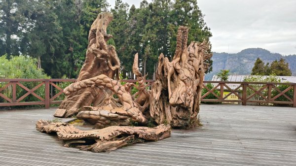 神阿縱走~台灣難抵極~大塔山2971460