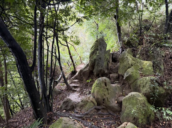 [微笑山線_第三段] 2026_0328 鳶山山系_鳶山彩壁3025694