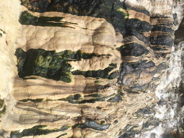 七坑溫泉、十坑溫泉、十三坑溫泉2005996