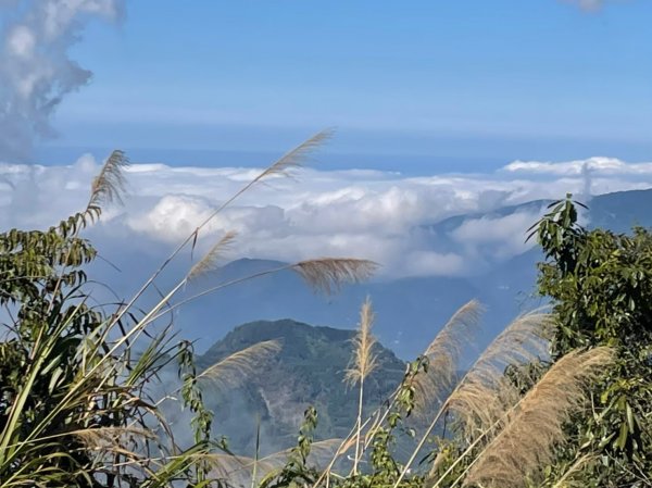 小百岳(60)-奮起湖大凍山-202201091691110