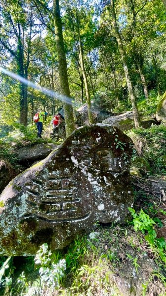 內寮古道石雕秘境寫真+陽明山16草原2499650