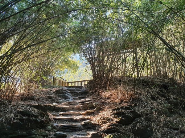 羅木斯溪登山步道1224414