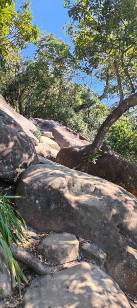 內湖金面山22690012