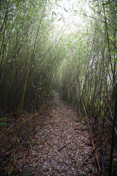 南港山26連峰縱走1602634