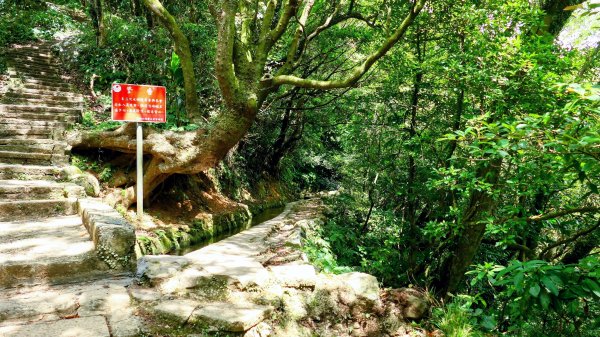 番王厝,番婆厝,王子厝,公主厝2827592