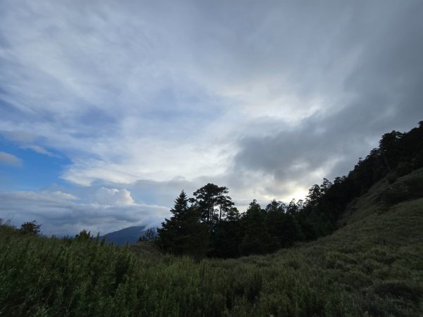 志佳陽大山（回程走高繞環山獵人登山步道）2542204