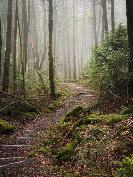 船型山-稍來小雪山國家步道3138047