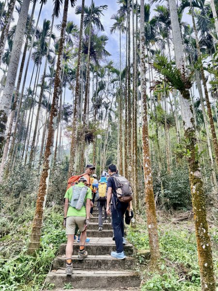 二尖.大尖山悠遊--好友再聚的茶園餘韻   2026.01.182985461