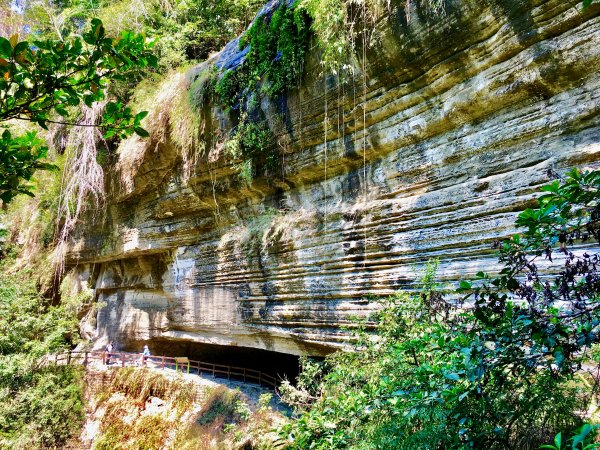 瑞里獵奇：燕子崖、千年蝙蝠洞、青年嶺步道