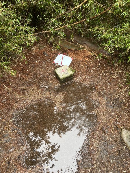 鹿林山-鹿林前山-真鹿林山-石水山-石水山基點峰 2025.5.252798430