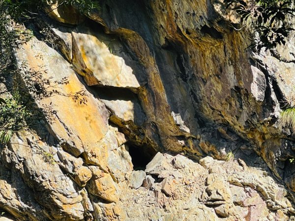 1141117小錦屏步道2946834