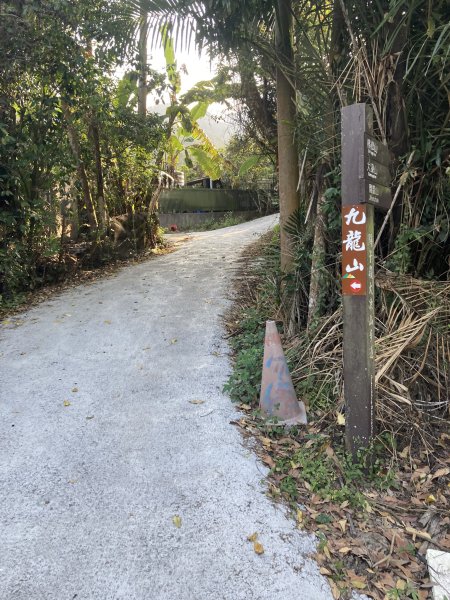 20260219九龍山+崩山+黑石崁山南峰+黑石崁山+凍仔頂山3002553