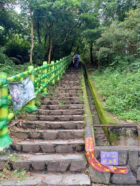 【新竹芎林】台灣百大必訪步道。 飛鳳山、觀日坪古道O繞2564332