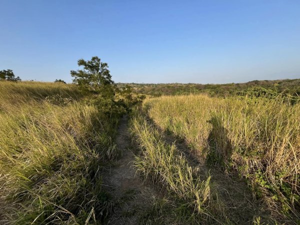 知高圳步道2711639