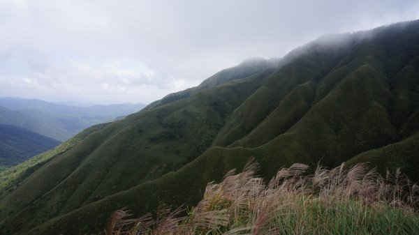 聖母峰之聖707634