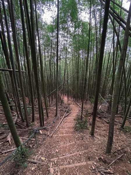 水社大山-鳥瞰日月潭2401877