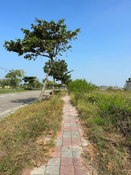 內海之路從台江國家公園管理處走道兒南公園2331307