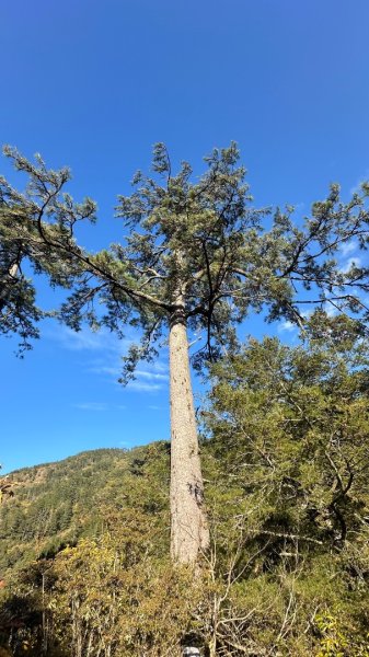 馬武霸下武陵2962390