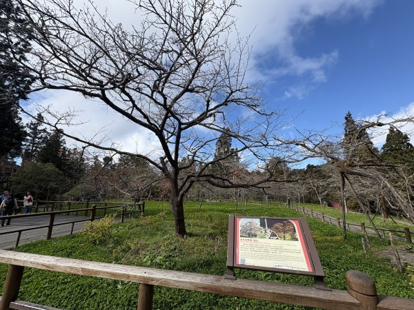 20251225塔山步道(大塔山)2970469