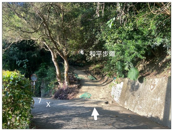 軍功寮山、大坑9、7、6、9-1步道 O型一圈2950805