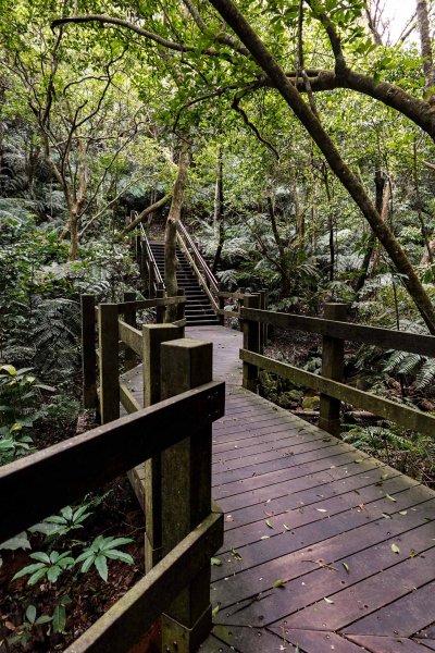 大崙頭尾山｜小百岳2756490