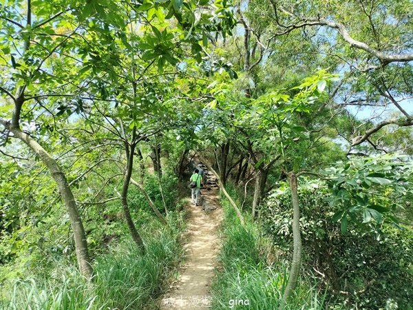 【高雄大社/岡山】郊山連峰稍有挑戰。 大社觀音山步道(立山x高崎山x長野山)2559935