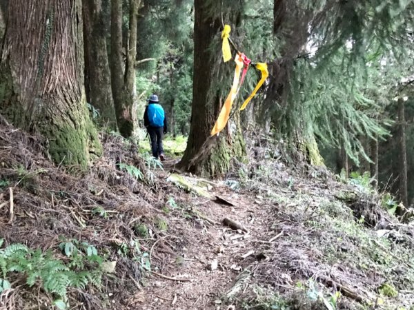 自忠上東水山連走特富野古道1244544