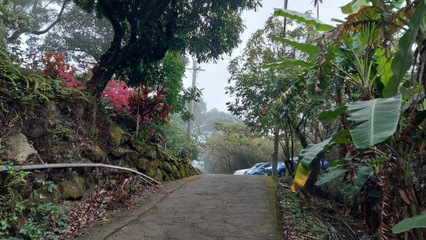 臺南白河關子嶺雞籠山步道1571884