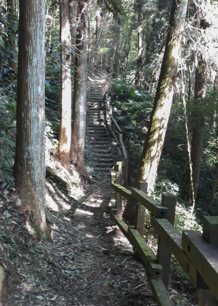 步道巡訪員 l 四大天王山七月巡訪日誌1048229