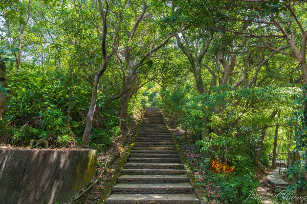 [台北]虎山親山步道、九五峰、南港山2911304