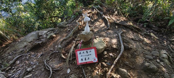 2025/12/06-光高天+南大龜+向天湖+三角湖山2957681