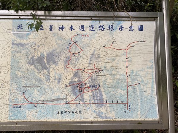 29北得拉曼11104053126529