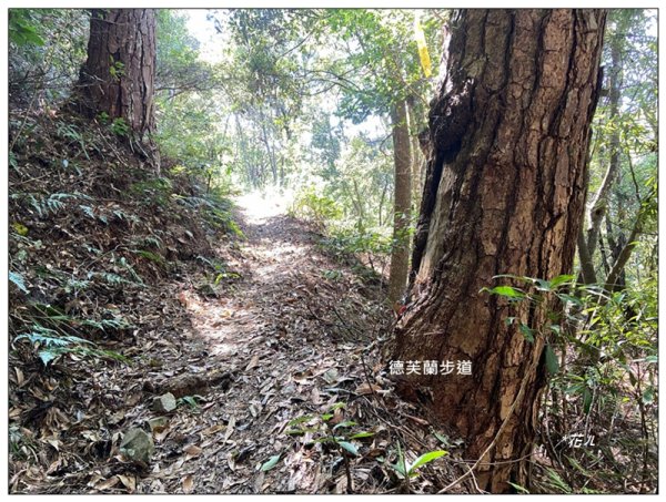 東卯山、東卯山西峰、東卯山西南峰 連走2932836
